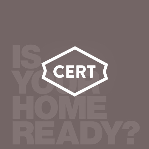 Community Emergency Response Team